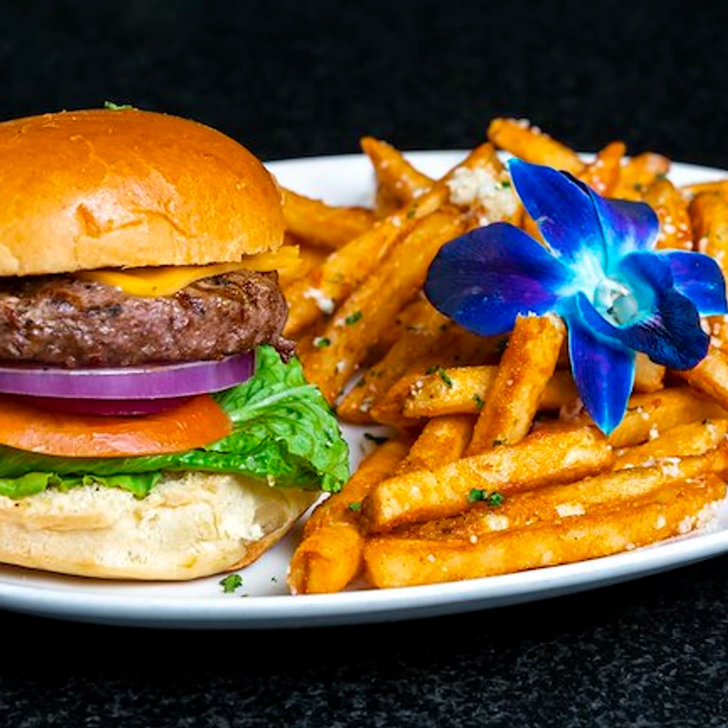 HOUSE BURGER